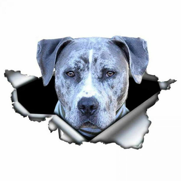Silver Chrome Effect Modern Staffie Staffordshire Bull Terrier Dog Ornament NEW